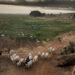 Tiv Monarchs Give Herders 10-day Quit Notice 5 Tiv Monarchs Give Herders 10-day Quit Notice