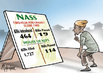 Gatekeepers Or Spectators? National Assembly’s Two-Year Performance Gap