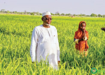 Inside Jigawa Executive Council Resolutions