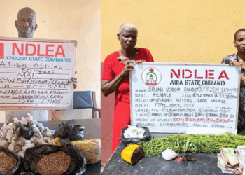 80-yr-old Ex-convict, 82-yr-old Grandma Arrested As NDLEA Intercepts N3.2bn Opioids