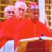 New Pope: Okpaleke Joins Conclave As Only Eligible Cardinal From Nigeria 5 New Pope: Okpaleke Joins Conclave As Only Eligible Cardinal From Nigeria