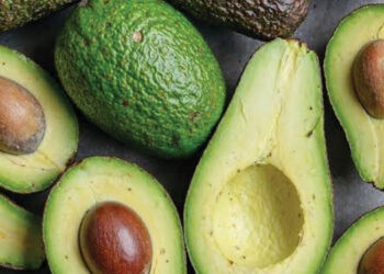 Seven Tips On Benefits Of Avocado