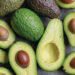 Seven Tips On Benefits Of Avocado