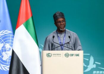 1,700ha Of Ogoni Shoreline Cleaned Up – FG