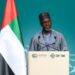 1,700ha Of Ogoni Shoreline Cleaned Up – FG