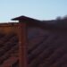 No Pope From First Conclave Ballot As Black Smoke Seen At Sistine Chapel Chimney