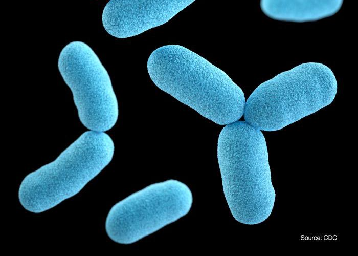 Diphtheria Resurgence Kills 2 In Zaria 1 diphtheria 1