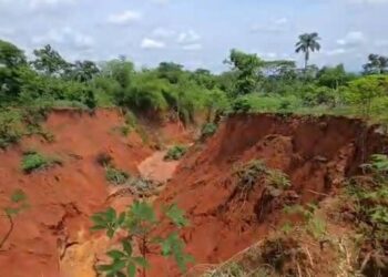 Gully Erosion: Ideato Rep Raises Alarm Over Imminent Disconnection Of Imo Community