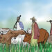 Insecurity: Let’s Flush Out Foreign Herders