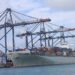 Intermodal Transport: Congestion Looms At Lekki Port, Shippers’ Council Warns