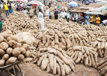 Investing In Yam Byproducts For High Investment Returns