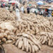 Investing In Yam Byproducts For High Investment Returns