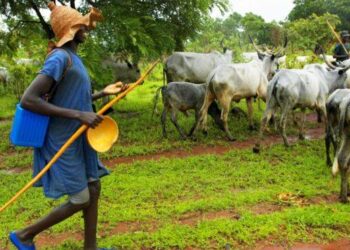 Forum Demands National Conference On Farmer-Herder Conflicts