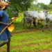 Forum Demands National Conference On Farmer-Herder Conflicts 5 Forum Demands National Conference On Farmer-Herder Conflicts