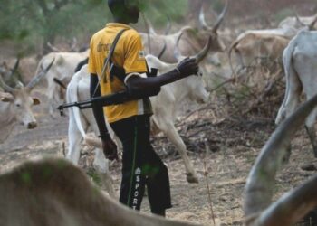 Killer Herdsmen Have Occupied Several Areas In S/East, Group Alleges
