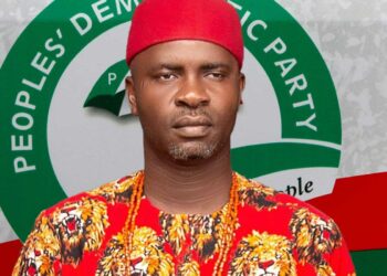 PDP Will Never Die – National Vice Chairman