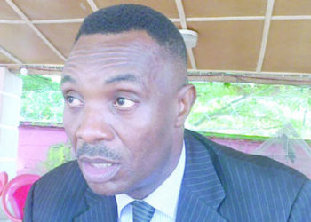 Insecurity: Governors Being Chief Security Officers Mere Rhetoric, Says Nwoye