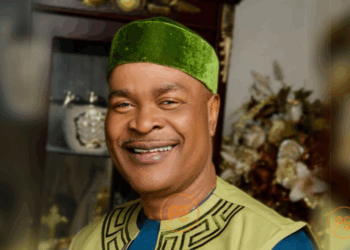 Accusation Of One-party System Against APC Is Blackmail, Says Deputy National Chairman