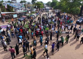 JUST-IN: Commuters Stranded In Makurdi As Angry Benue Youths Protest Killings