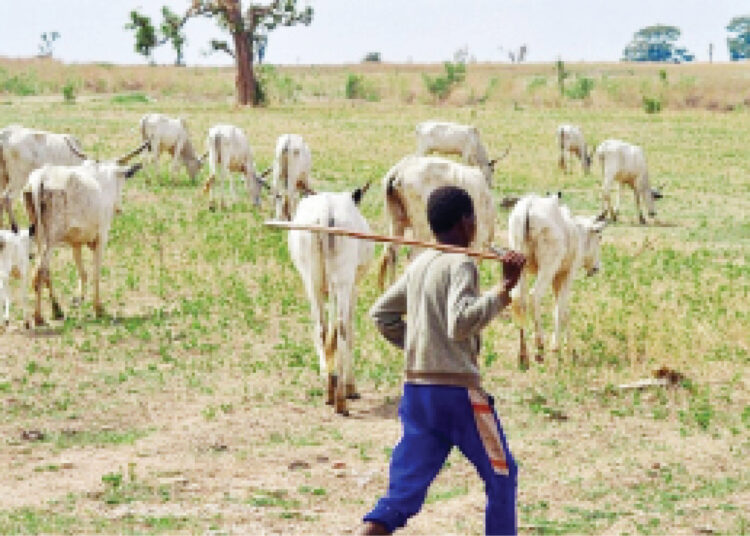 suspected herders