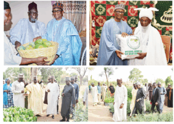 NAGGW: Curbing Desertification Through Collaboration, Sensitisation