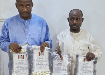 NDLEA Busts Syndicate Sponsoring Pilgrims With Cocaine To Hajj
