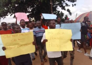 Ngozi Okonjo-Iweala’s Kinsmen Protest Activities Of Land Grabbers