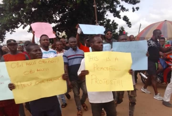 Ngozi Okonjo-Iweala's Kinsmen Protest Activities Of Land Grabbers 1 IMG 20250603 WA0019