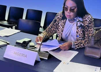 Federal Gov’t Has Made Job Creation Central To Energy Sector Reforms — Labour Minister