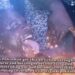 Netizens React As Prophet Fufeyin 'Heals' Policeman At Crusade 5 Netizens React As Prophet Fufeyin ‘Heals’ Policeman At Crusade