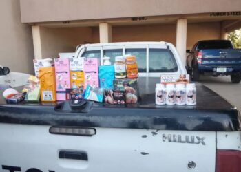 Bleaching Creams: NAFDAC Arrests 6, Seals Shops In Kano