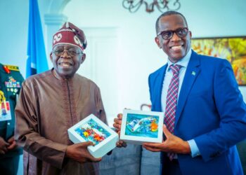 Nigeria Is In Our DNA, Says Lucian PM