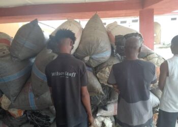 NDLEA Arrests 3 Suspects, Seizes 2.687 Tonnes Of Indian Hemp In Cross River