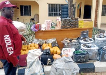 NDLEA Arrests 129, Seizes Over 282Kg Of Hard Drugs In Kogi