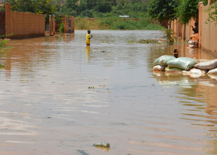 niger flood