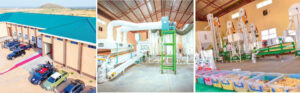 Gombe Industrial Park