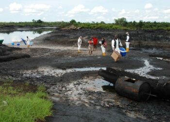 Oil Exploration Resumption: Stop Inciting Ogonis Against FG, Group Tells Ex–Rep