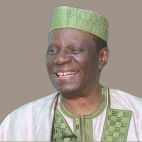 Political Parties Should Adopt Option A-4 For Primaries – Iredia 1 Prof. Tonnie Iredia