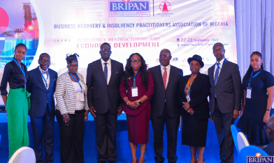 Insolvency: BRIPAN Plans Training For Judges, Regulators 1 Rectangle 21124