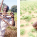 From Lecture Hall To Farmland: Prof Wagimi Grows, Sells Vegetables