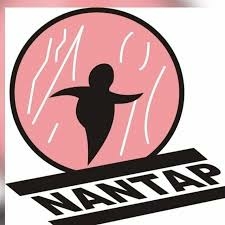 The National Association of Nigerian Theatre Arts Practitioners NANTAP FCT