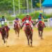 Tinubu Committed To Reviving Horse Racing In Nigeria – Dantata