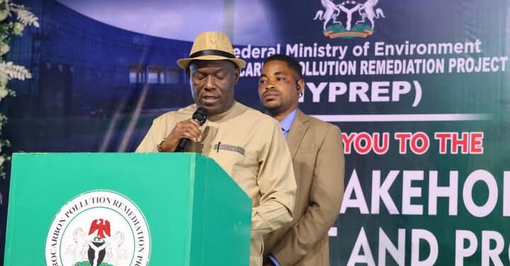 Ogoni clean-up