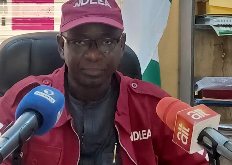 Bauchi State NDLEA Commander, CN Ali Aminu.