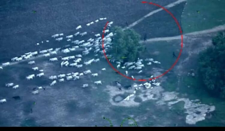 NAF Strikes Terrorists Behind Niger Attacks On Troops