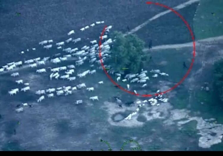 NAF Strikes Terrorists Behind Niger Attacks On Troops