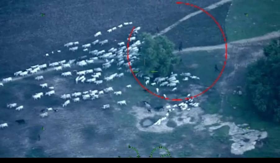 PICTORIAL: NAF Strikes Terrorists Behind Niger Attacks On Troops