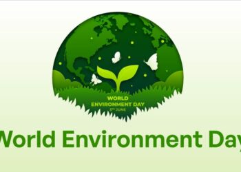 World Environment Day: Nigeria’s Battle Against The Tide