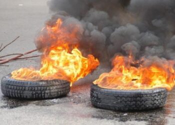 Sallah: Bauchi Agency Bans Use Of Tyres For Roasting Animals