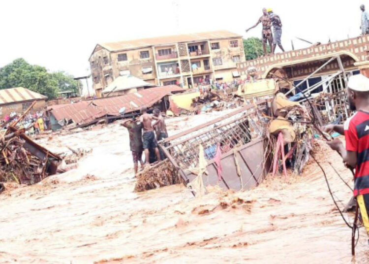 Niger Flood
